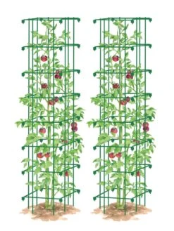 Tomato Towers, Set Of 2 -Eco Garden Shop 8587041 0006 GRN tif