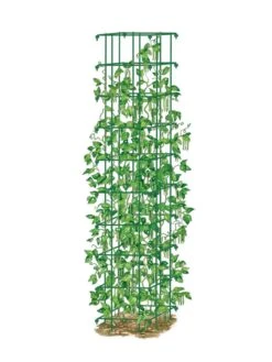Bean Tower -Eco Garden Shop 8587060 0008 GRN tif