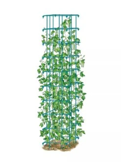 Bean Tower -Eco Garden Shop 8587060 BeanTower BLUE