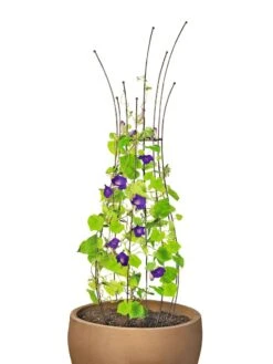 Jardin Pot Trellis -Eco Garden Shop 8587120 1006 tif