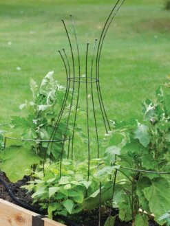 Jardin Pot Trellis -Eco Garden Shop 8587120 7037 tif