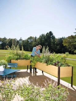Elevated Planter Box, 2' X 8' -Eco Garden Shop 8587631 104 tif