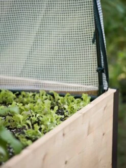 Protection Frame & Covers, 2' X 4' -Eco Garden Shop 8587631 265 tif 1