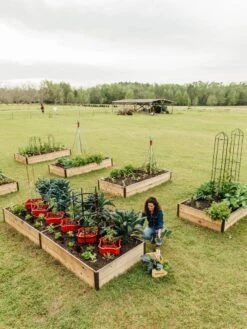 Deep Root Raised Beds, 14" Deep 4' Wide 12 Deep Root Raised Beds, 14" Deep 4' Wide -Eco Garden Shop 8587813 505 tif