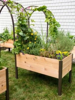 2’ X 4’ Arch Trellis For Planter Boxes -Eco Garden Shop 8587823 0490