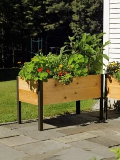 Elevated Planter Box, 2' X 4' -Eco Garden Shop 8587823 704 tif