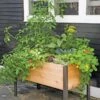 Elevated Planter Box, 2' X 4' -Eco Garden Shop 8587823 8459 tif
