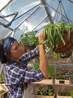 Canopia® By Palram Balance Greenhouse, 8' X 12' -Eco Garden Shop 8588023 07V jpg