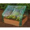 Extendable Cold Frame Greenhouse 1 Extendable Cold Frame Greenhouse -Eco Garden Shop 8588247 03V extendable cold frame greenhouse