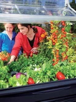 Canopia® By Palram Plant Inn™ Raised Bed Greenhouse, 4' X 4' -Eco Garden Shop 8588308 03V tif