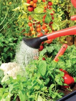 Canopia® By Palram Plant Inn™ Raised Bed Greenhouse, 4' X 4' -Eco Garden Shop 8588308 06V tif