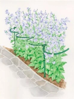 Tidy Path Supports -Eco Garden Shop 8588403 003 1