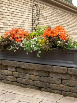Fairfield Self-Watering Window Box, 5’ -Eco Garden Shop 8588938 105V tif