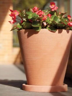 Universal Round Planter Saucers -Eco Garden Shop 8589526 001V tif