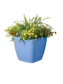 Viva Square Self-Watering Rolling Planter, 14" Diameter -Eco Garden Shop 8589777BL 6080 tif