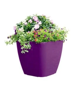 Viva Square Self-Watering Rolling Planter, 17.5" Diameter -Eco Garden Shop 8589778PR 6126 tif