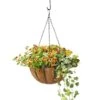 AquaSav™ Oxford Hanging Basket, 14" -Eco Garden Shop 8589789 028 tif