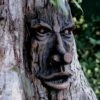 Friendly Ent Tree Face -Eco Garden Shop 8589841 001v