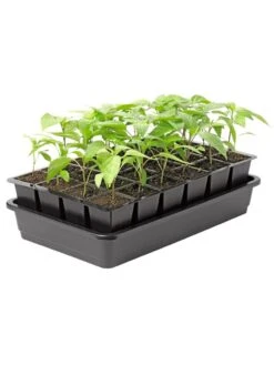 Growease Seed Starter Kit -Eco Garden Shop 8589987 1153 tif
