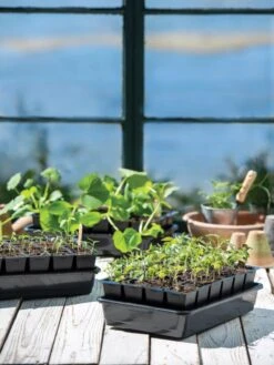 Growease Seed Starter Kit -Eco Garden Shop 8589987 7871 tif