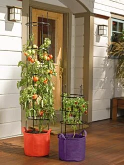 Gardener's Best® Tomato Grow Bag Set -Eco Garden Shop 8590013 170 tif