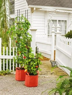 Gardener's Best® Tomato Grow Bag Set -Eco Garden Shop 8590013 5090 tif
