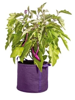 Gardener's Best® Universal Grow Bag -Eco Garden Shop 8590024PR 214 tif