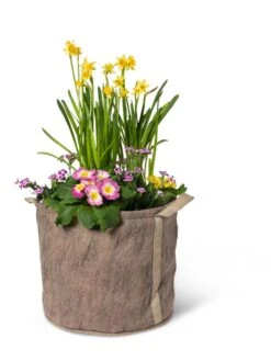 Gardener's Best® Universal Grow Bag -Eco Garden Shop 8590024 7307 tif