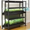 2-Tier SunLite® Garden -Eco Garden Shop 8590049 2489 grow lights with two shelves large tif