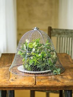 Chicken Wire Cloche -Eco Garden Shop 8590210 1 tif