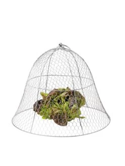Chicken Wire Cloche -Eco Garden Shop 8590210 675 tif