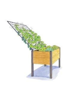 Elevated Planter Box And Space-Maker Pivoting Trellis Set, 2' X 4' -Eco Garden Shop 8590247 SMTrellis 4ft tif 1