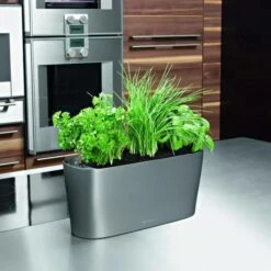 Lechuza® Delta Self-Watering Windowsill Planters 13 Lechuza® Delta Self-Watering Windowsill Planters -Eco Garden Shop 8590298 02V tif