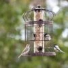 Edwardian Bird Feeder -Eco Garden Shop 8590897 00151 tif