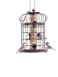 Edwardian Bird Feeder -Eco Garden Shop 8590897 200151 tif