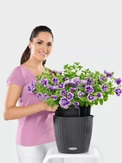 Lechuza® Nido Cottage Wicker Hanging Planter -Eco Garden Shop 8591154GT 006V tif