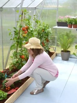 Canopia® By Palram Essence™ Greenhouse, 8' X 12' 18 Canopia® By Palram Essence™ Greenhouse, 8' X 12' -Eco Garden Shop 8591356 04V tif