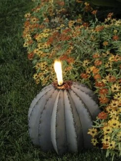 Desert Steel Golden Barrel Cactus Torches -Eco Garden Shop 8591453 01V tif