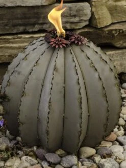 Desert Steel Golden Barrel Cactus Torches -Eco Garden Shop 8591454 01V tif