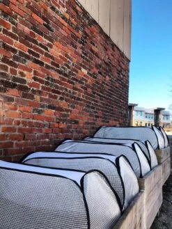 Row Shelter Accelerator -Eco Garden Shop 8591990 01IN tif