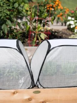 Row Shelter Accelerator -Eco Garden Shop 8591990 2199 tif