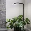 Agrobrite Floor Plant Lamp -Eco Garden Shop 8592053 0215 tif