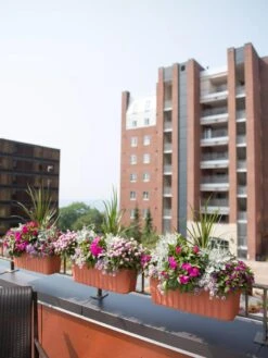 Adjustable Self-Watering Railing Planter, 24" -Eco Garden Shop 8592173TC 2383 tif