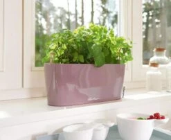 Lechuza® Delta Self-Watering Windowsill Planters 14 Lechuza® Delta Self-Watering Windowsill Planters -Eco Garden Shop 8592361 01V tif