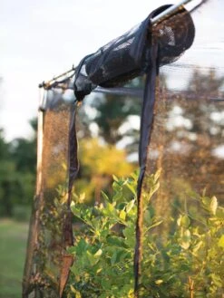 Storm Proof Crop Cage, Large -Eco Garden Shop 8592463 115 tif