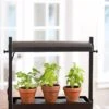 Micro Grow Light Garden -Eco Garden Shop 8593235 2290 tif