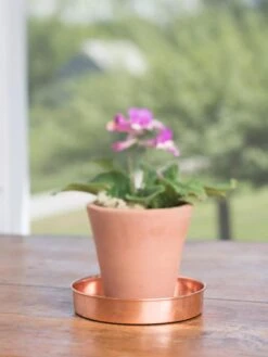 Extra Small Round Copper Plant Tray, 8" -Eco Garden Shop 8593528 4522 tif