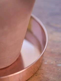 Extra Small Round Copper Plant Tray, 8" -Eco Garden Shop 8593528 4529 tif