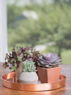 Large Round Copper Plant Tray, 14" -Eco Garden Shop 8593531 4518 tif