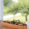 Rectangular Copper Plant Tray, 18"x4" -Eco Garden Shop 8593532 4632 tif